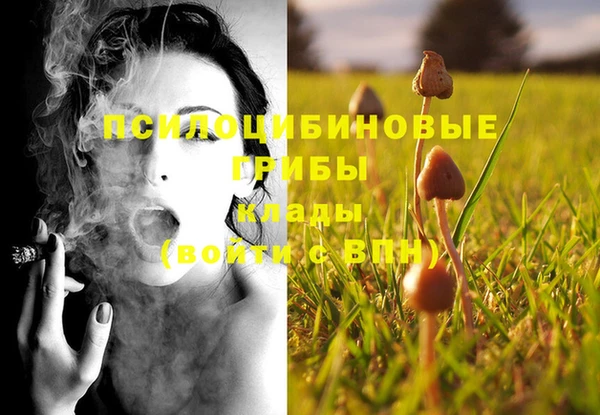 ГАЛЛЮЦИНОГЕННЫЕ ГРИБЫ Бугульма