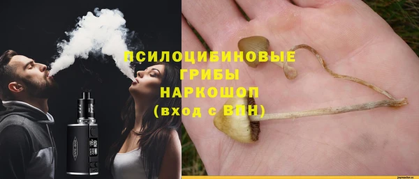 шишки Богородицк