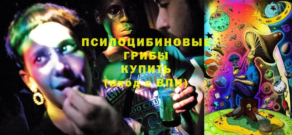 ГАЛЛЮЦИНОГЕННЫЕ ГРИБЫ Бугульма