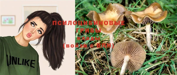 ГАЛЛЮЦИНОГЕННЫЕ ГРИБЫ Бугульма