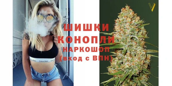спайс Бородино