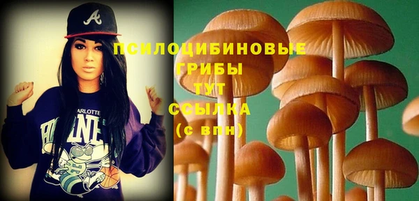 спайс Бородино